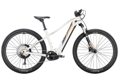 Conway_Cairon_S_5_0_white_brown_2022