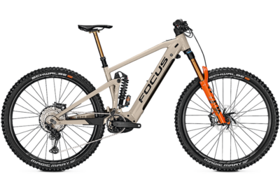 Focus_Sam_2_6_9_milk_brown_2022