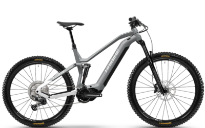 Haibike_AllMtn_3_silver_white