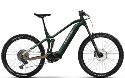 Haibike_AllMtn_7_green_caramel
