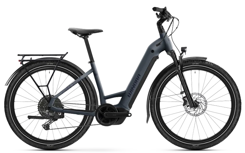 Yucatan X10 pigeon 2026